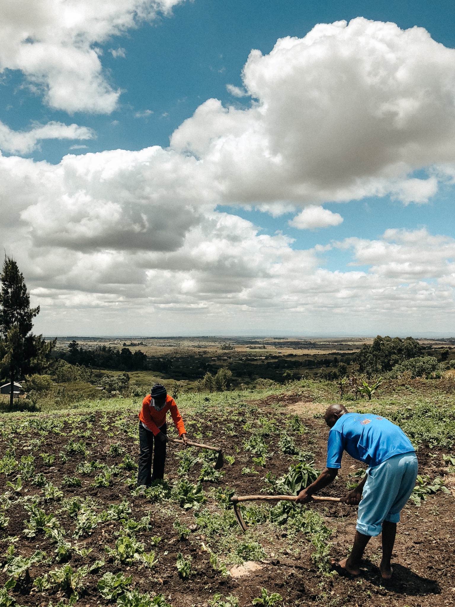 To personer arbeider på et jorde i Kenya
